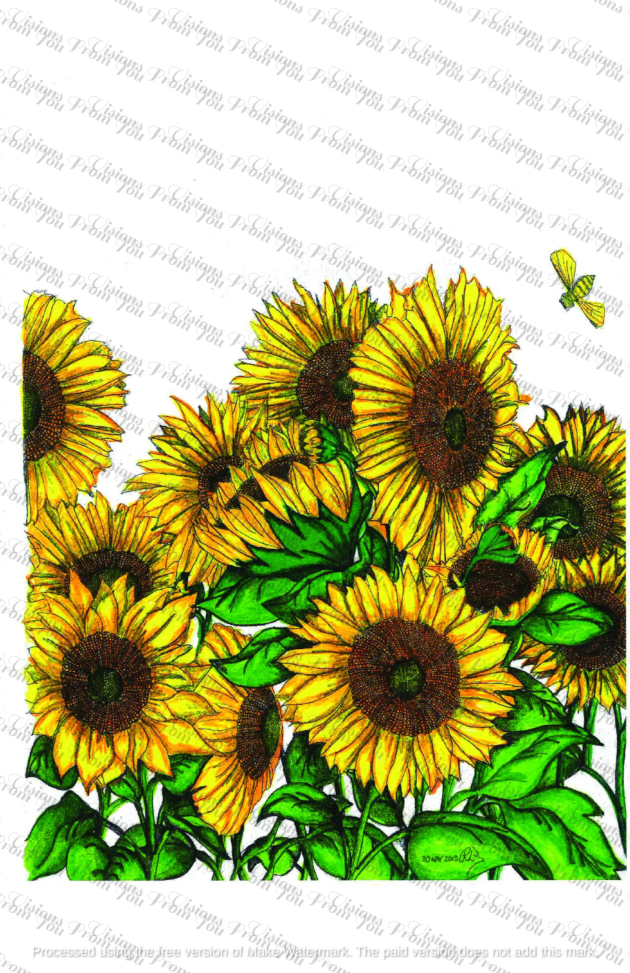 Sun Flowers