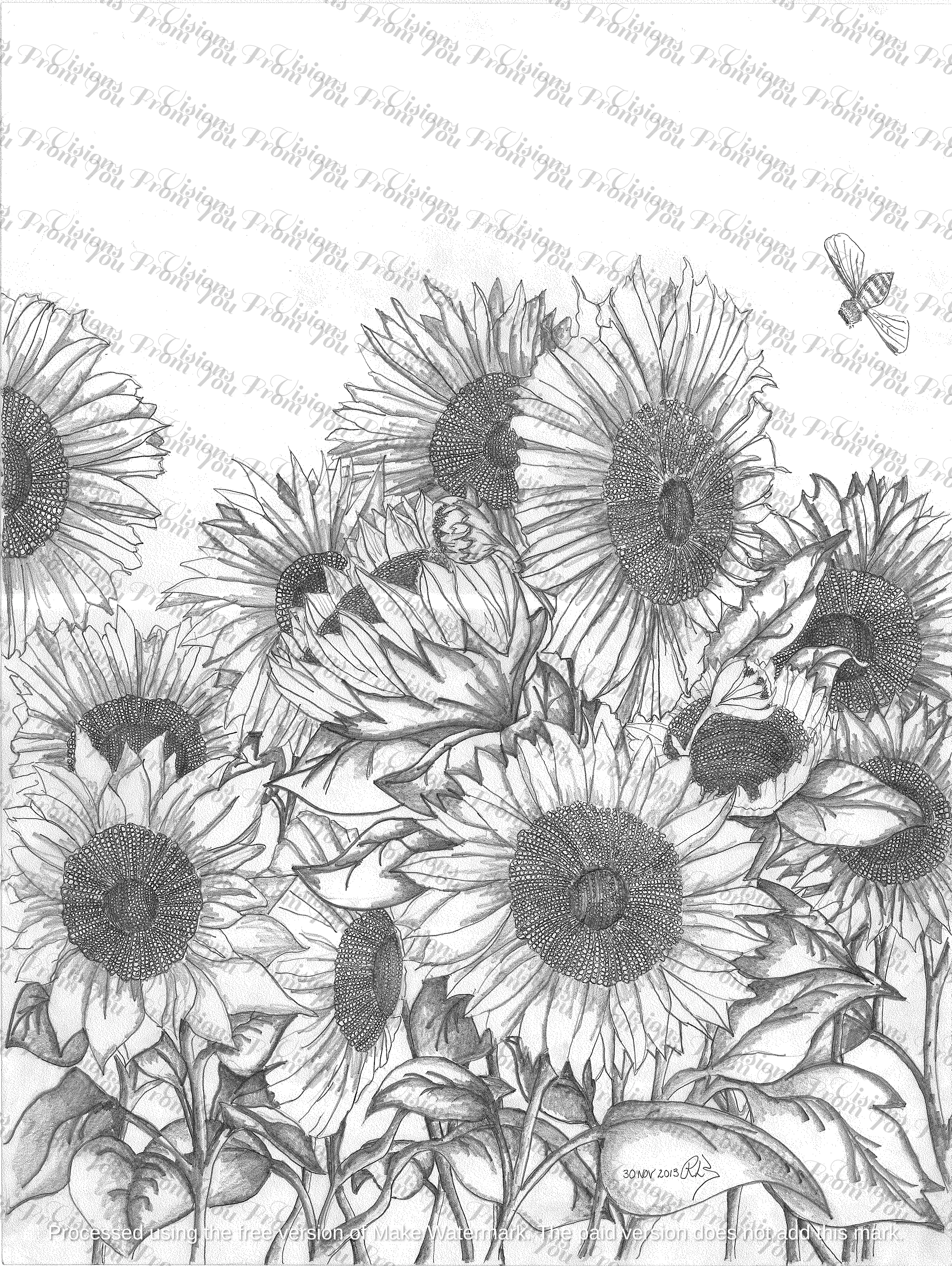 Sun Flowers BW